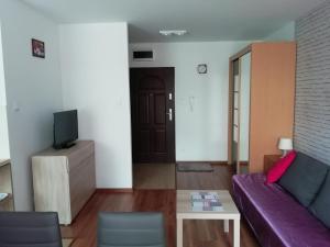 Televízia a/alebo spoločenská miestnosť v ubytovaní Apartament u Magdy + 7 fotografií