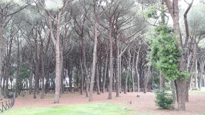 Um jardim no exterior de Un mare di relax