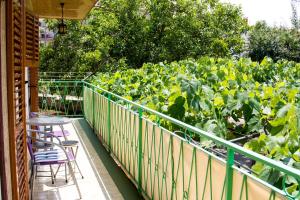 a balcony with two chairs and a vegetable garden at Green garden apartments in Rovinj