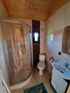 a bathroom with a shower and a toilet and a sink at Domki Letniskowe REKINEK in Darłowo