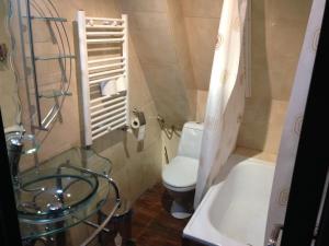 Ένα μπάνιο στο Cabana Haiducilor +18 φωτογραφίες