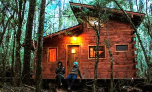 Gallery image of Cabañas Bosque Milenario in Coñaripe