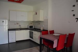 Kuchyň nebo kuchyňský kout v ubytování Apartman Ana