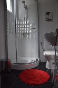 Koupelna v ubytování Apartman Ana