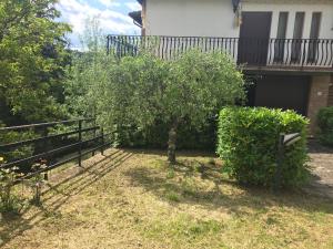 A garden outside Villa Romolina