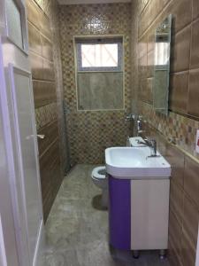 a bathroom with a sink and a toilet at Milsaa Studio in Cairo