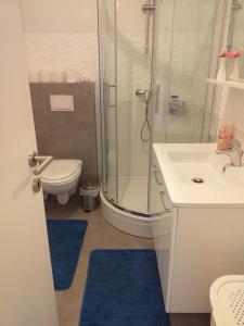 a bathroom with a shower and a toilet and a sink at Apartman Bruna in Novalja