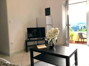 A television and/or entertainment centre at Chill out studio in the leafy Livadia village