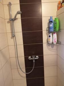 a bathroom with a shower with a shower head at Villa Meli in Visoko