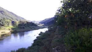 Gallery image of Starvill Pension in Pyeongchang 