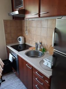 a small kitchen with a sink and a refrigerator at Apartment Milica in Herceg-Novi