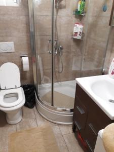 La salle de bains est pourvue d'une douche, de toilettes et d'un lavabo. dans l'établissement Apartment Milica, à Herceg-Novi