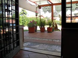 an open door to a patio with potted plants at Patrian in Grottaferrata
