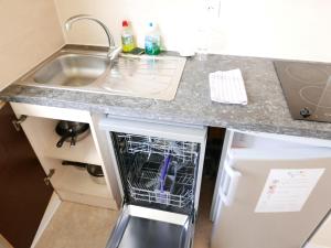 encimera de cocina con fregadero y lavavajillas en Résidence Mes Amours d'Enfants - Les Villas du Lac en Soustons