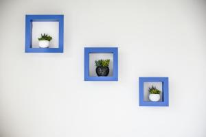 a group of picture frames with plants in them at Bed and Breakfast Porto Flavia in Iglesias