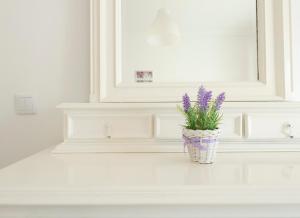 Φωτογραφία από το άλμπουμ του The Yellow House Cascais στο Κασκάις +20 φωτογραφίες