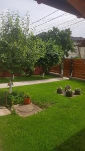 Afbeelding uit fotogalerij van Casa Andrei Techirghiol in Techirghiol