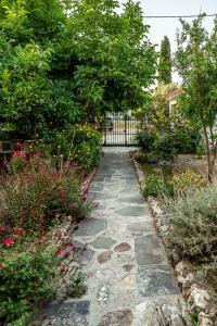 Gallery image of Hotel Ikaros in Archangelos