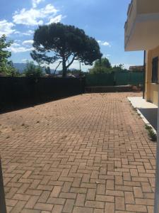 a brick driveway with a tree in the background at B&B Gigi’ in Marina di Massa +8 photos