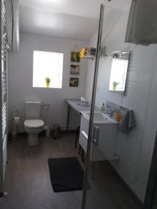 a bathroom with a toilet and a sink and a shower at Chez Isa et Christophe in Mogeville +26 photos