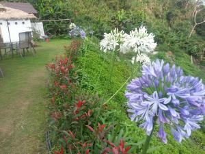 a garden with purple and white flowers in a yard at Yun Waterfall Valley Homestay in Fanlu
