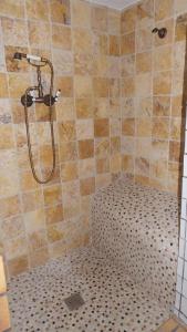 eine Dusche mit Duschkopf in einem Badezimmer in der Unterkunft Vivienda rural fuente de los gusarapos in Burunchel