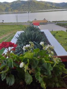 GorneaにあるVilla Rusticaのギャラリーの写真