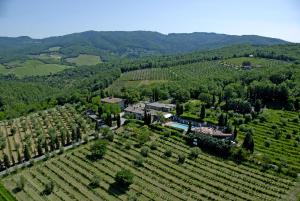 Príroda v okolí of the country house