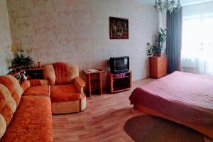 オムスクにあるApartment on 70 let Oktyabryaのベッドルーム(ベッド1台、ソファ、テレビ付)