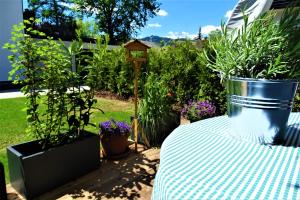 a table with a blue and white table cloth and plants at berg.FREUND im Allgäu in Sonthofen