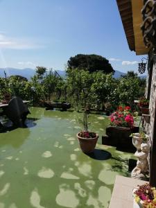 un bassin d'eau avec des plantes en pot dans une cour dans l'établissement Pietramiliare, à Trecase