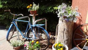 Una bicicleta azul estacionada junto a un ramo de flores en Hotel Kopernik en Frombork