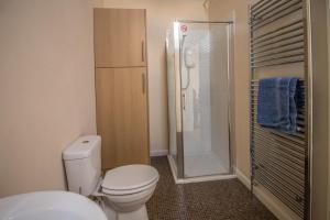 un bagno con wc e doccia di Saracens Head Old Function Room a Chapel Saint Leonards