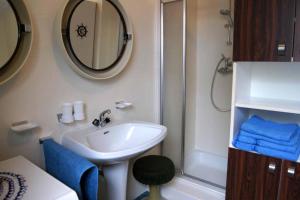 a bathroom with a sink and a shower and a mirror at Apartment Wurth in Groß-Siegharts