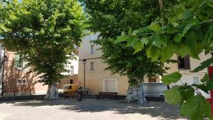 two trees and benches in front of a building at Cosy Corner in LʼIsle-sur-la-Sorgue