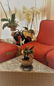 a living room with a table and chairs and plants at Hotel Imperiale in Cesenatico