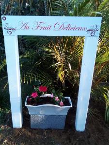 an inviting sign for a flower pot in a garden at Au fruit delicieux in Le Tampon