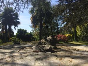 Φωτογραφία από το άλμπουμ του Chambres d'Hôtes Closerie du Guilhat σε Salies-de-Bearn