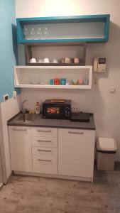 una piccola cucina con lavandino e forno a microonde di Apartments REST - Centar a Novi Sad