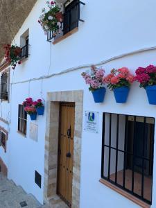 a white building with potted plants and a door at Casa Cueva "Las Calcetas" in Setenil