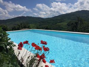 a swimming pool with red flowers in front of it at nido d'amore in Dernice