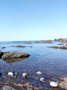 a view of the ocean with rocks in the water at Doctor's House in Sinemorets