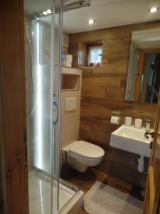 a bathroom with a shower and a toilet and a sink at Chata pod Belianskymi Tatrami in Ždiar