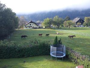 Paesaggio naturale nelle vicinanze del bed & breakfast