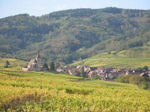 a village in the middle of a green field at Studio chez le vigneron in Hunawihr