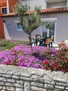 Zahrada ubytování Apartment Lavanda
