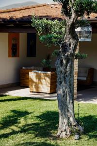 Vonkajšia záhrada v ubytovaní Villa Araucaria