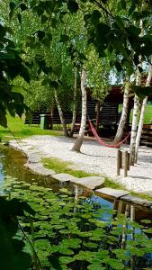 a red hammock hanging from trees next to a pond at Hotel "Księżyc" w Świebodzicach in Świebodzice