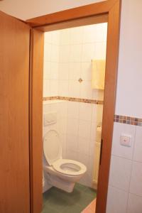 ein Bad mit einem weißen WC in einem Zimmer in der Unterkunft Gasthof Steinerwirt in Heimhausen