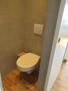 ein Bad mit einem weißen WC in einem Zimmer in der Unterkunft Appartement La Vue Sur Mer in Boulogne-sur-Mer